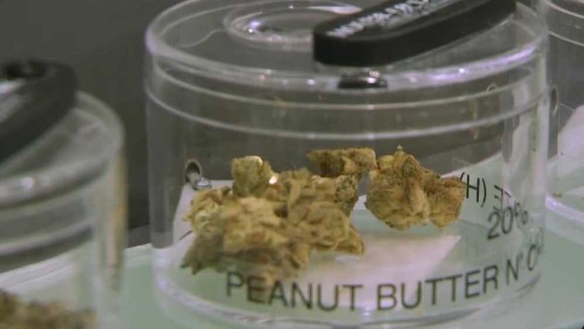  Kentucky seeking to expand medical marijuana qualifying conditions