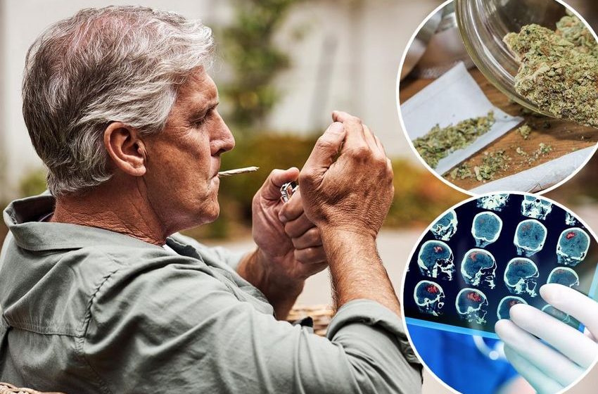  Researchers ‘surprised’ by the brain benefits of cannabis usage in adults over 40