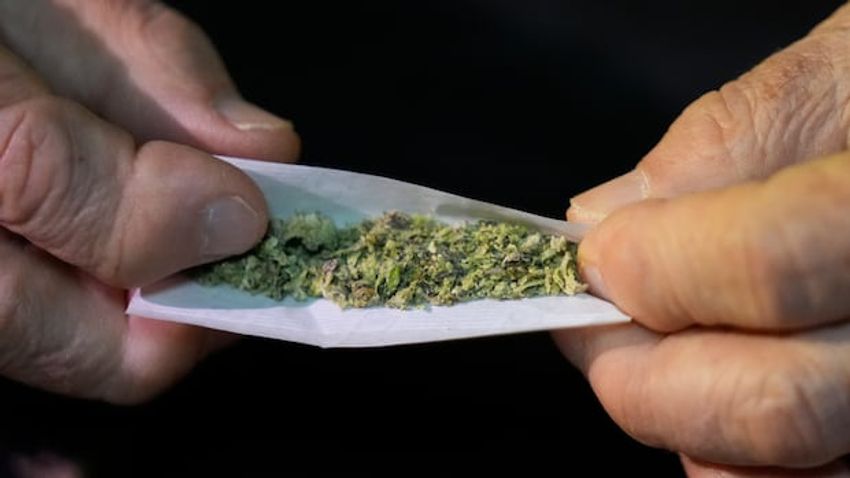  N.S. RCMP say officers faced racist comments during raid at Mi’kmaw cannabis store