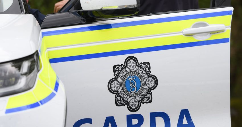 Man arrested after €1.5 million cannabis and cocaine seizure in Limerick