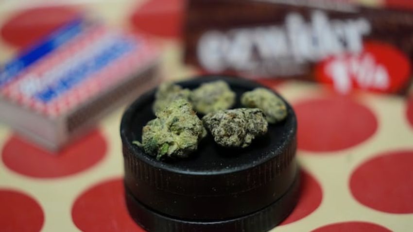  New bill increases fines, enforcement powers for illegal cannabis in Nova Scotia