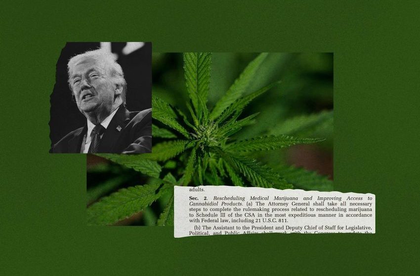  Trump’s cannabis rescheduling order was just smoke