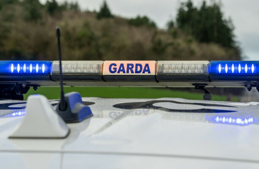  Man arrested following €1.5 million cocaine and cannabis seizure in Limerick