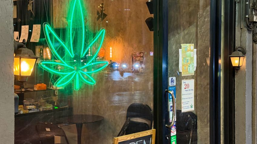  Study Shows the Surprising Effects of Cannabis on Older Brains