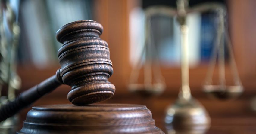  Farmer tells gardaí he’s ‘no Pablo Escobar’ after arrest for cannabis farm in west Cork