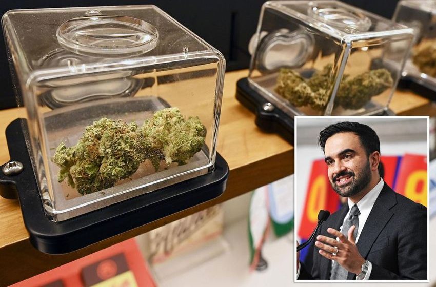  NYC high on its own supply as pot taxes skyrocket — but cannabis insiders say surge can be higher