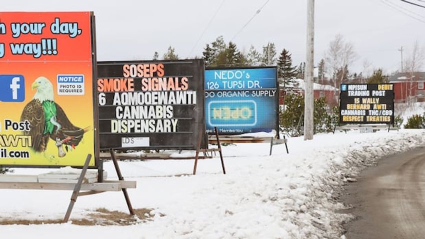  Membertou’s cannabis enforcement ban a political move, chief says