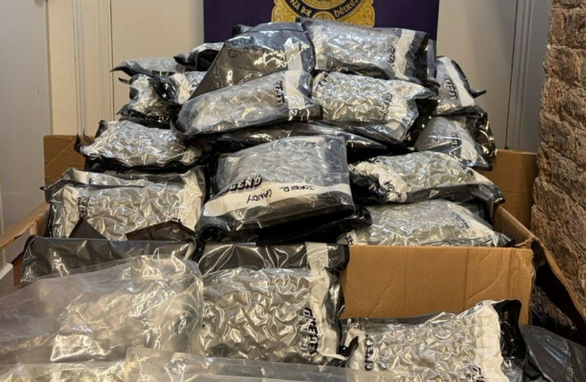  Two men arrested after €1.5m worth of cannabis seized in South Dublin