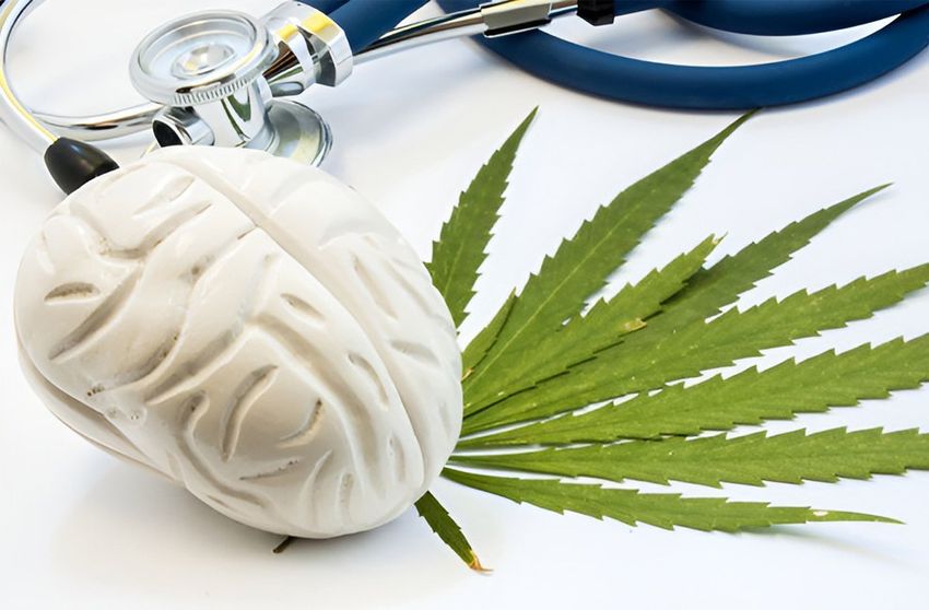  Study challenges Cannabis benefits for mental health