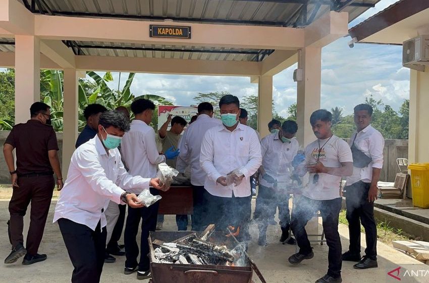  Southwest Papua Police destroy 7.9 kg of marijuana from PNG ring