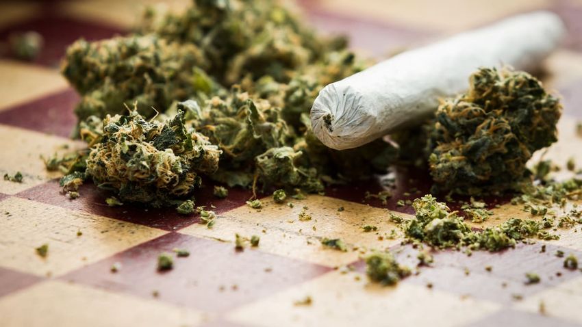  Cannabis possession charges surge 50% in two years, to 8‑year high