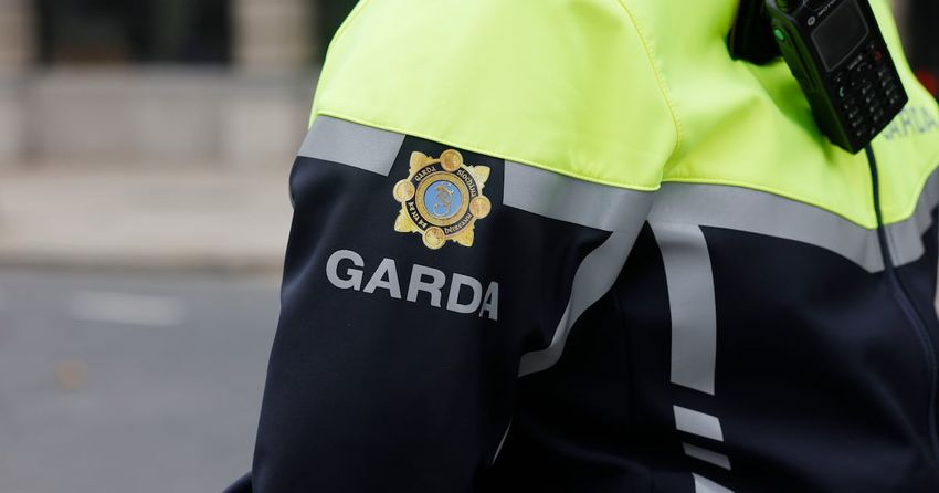  Gardaí seize cocaine and cannabis worth €2.7m in Dublin