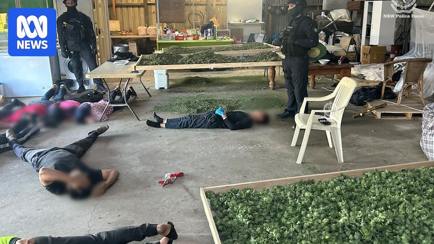  Cleaning job offer led to woman’s arrest in drug bust, court hears