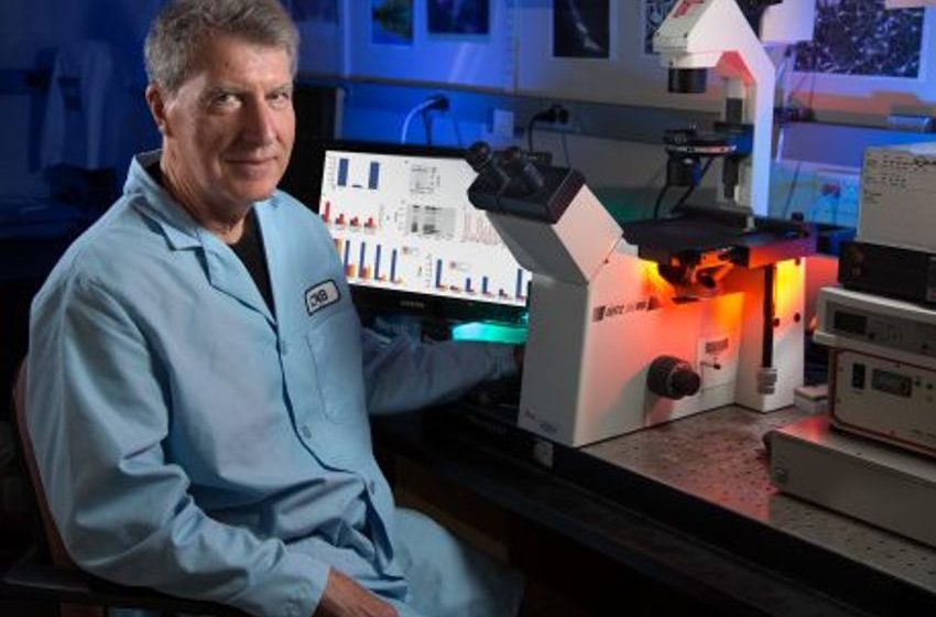  Cannabinoids remove plaque-forming Alzheimer’s proteins from brain cells