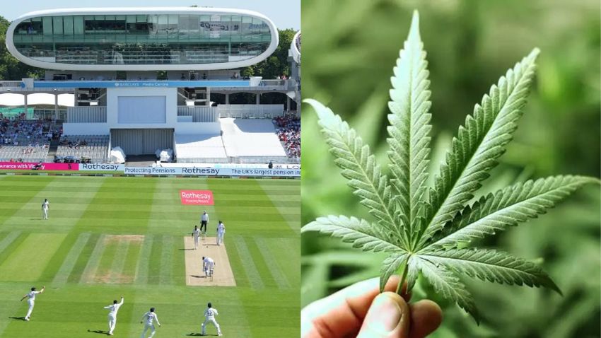  Lord’s cricket ground ends its alliance with BrewDog after Tilray Brands which produces medicinal marijuana, buys Beer company
