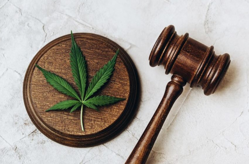  Trulieve Sues Florida Over Restrictive Medical Marijuana Marketing Rule