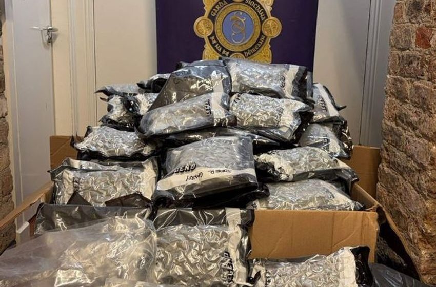  Two men (50s) arrested as gardai seize €1.5m worth of cannabis in South Dublin