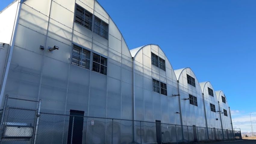  Former cannabis farm in Claresholm finds new life growing gourmet mushrooms, other produce