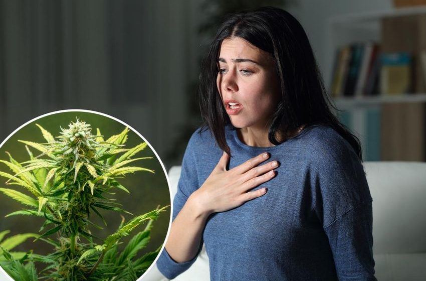  Link between cannabis and anxiety, depression has ‘strengthened over time’: new study