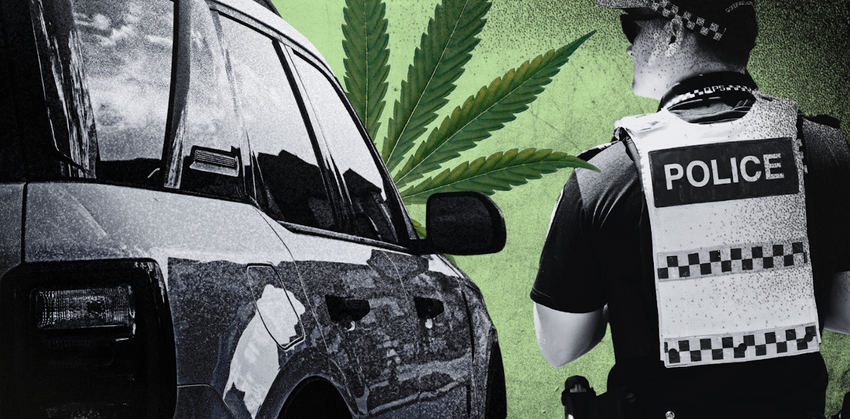  Can I drive when taking medicinal cannabis? Is it safe?