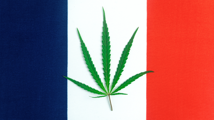  France: A Last Bastion of Cannabis Prohibition
