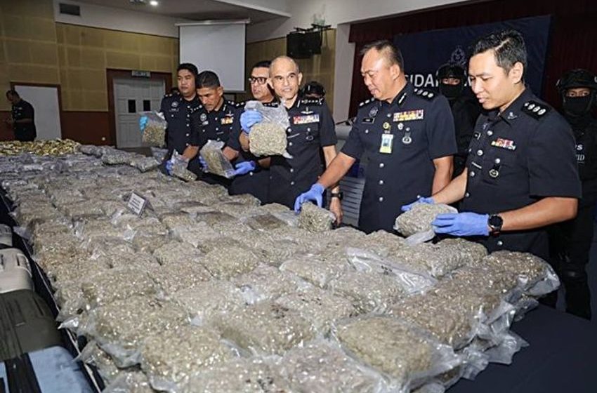 International drug trafficking syndicate smashed with the arrest of four, RM9.35mil worth of cannabis seized