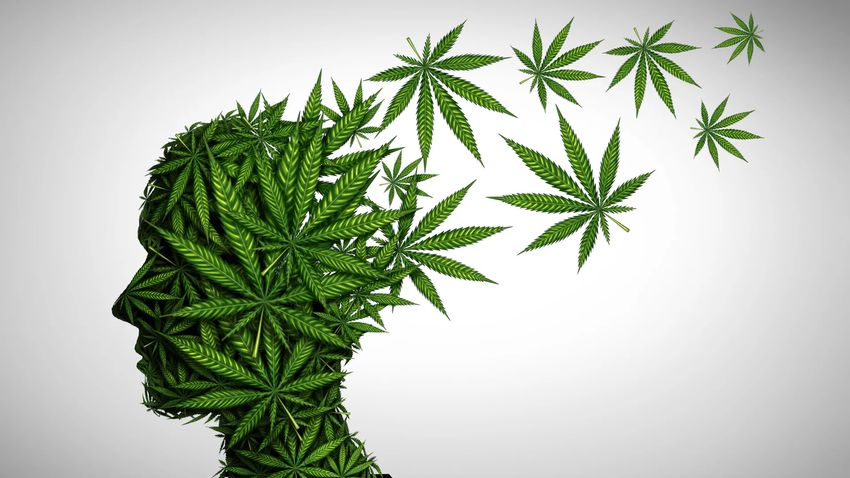  Cannabis study finds THC can create false memories