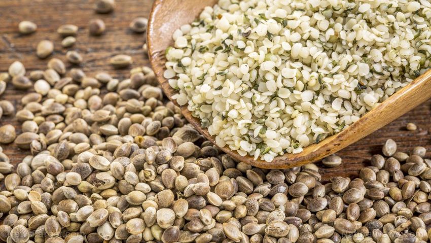  Hemp seeds: The powerful superfood that boosts brain health and fights inflammation