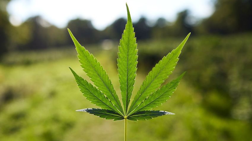  Former addict shares everything that changed when he stopped smoking weed