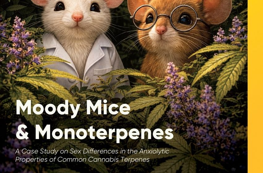  Abstrax and Western Washington University Publish New Preclinical White Paper on Cannabis Terpenes and Behavioral Responses