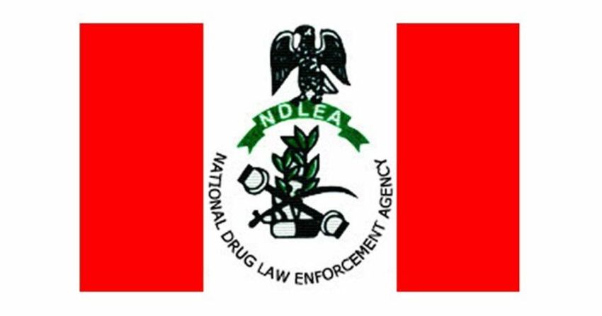  NDLEA seizes 125 bags of cannabis in Edo, arrests suspect