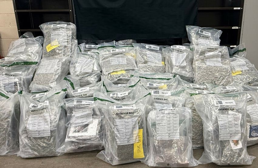  Over €5m worth of cannabis seized from lorry travelling from Scotland to Larne Harbour