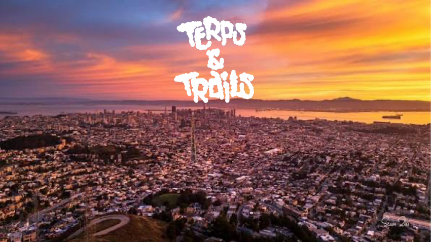  5/30/26: Free SF Community Hike: Cannabis + Wellness (Twin Peaks) – FREE