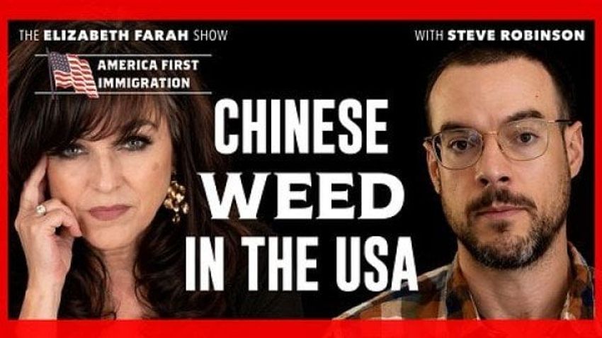 WATCH: Inside the Chinese-linked cannabis network quietly expanding across rural America