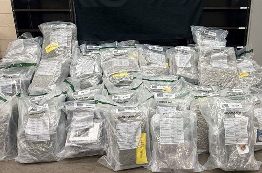  Man (50s) arrested after €5.2m worth of cannabis found hidden in truck travelling from Scotland