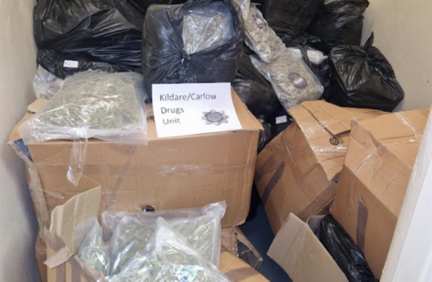  Four arrests made after gardaí seize €7 million worth of cannabis from Kildare property