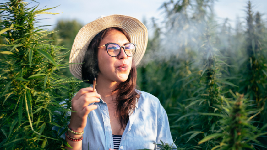  How Free Do US Cannabis Consumers Really Feel?