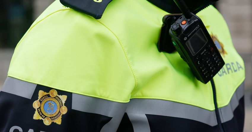  Four in court charged over €7m cannabis seizure in Co Kildare