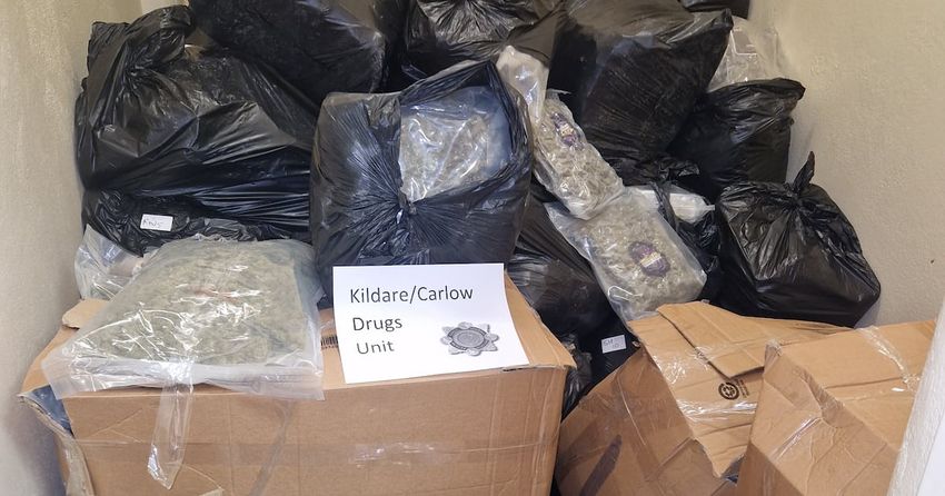  Gardaí seize cannabis worth €7 million in Co Kildare