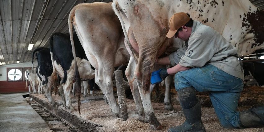  Risk of paralysis, bacteria, even death is no match for Americans’ thirst for raw milk