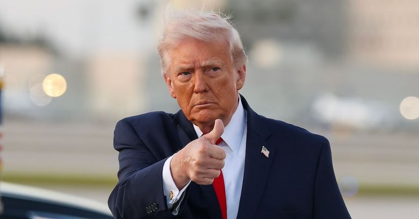  Trump Tries to Win Back Joe Rogan and MAGA Bros With Pot