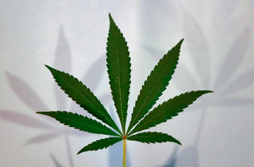  Oregon Governor Signs Bill To Allow Medical Marijuana Use In Hospices And Other Health Facilities – Marijuana Moment