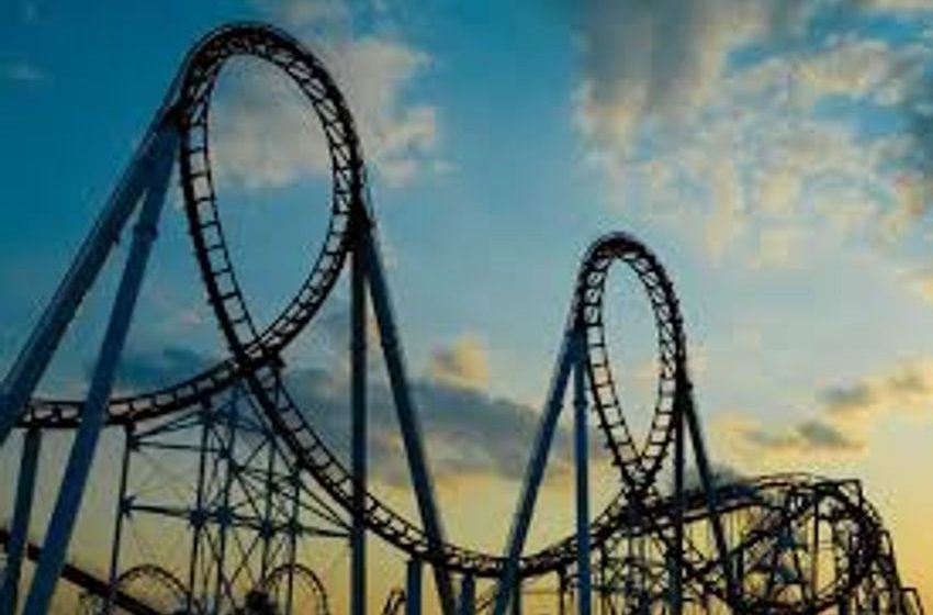  Entrepreneurial Life