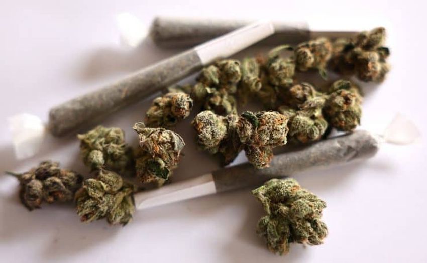  Trump moves to reclassify medical marijuana, impacting prediction markets