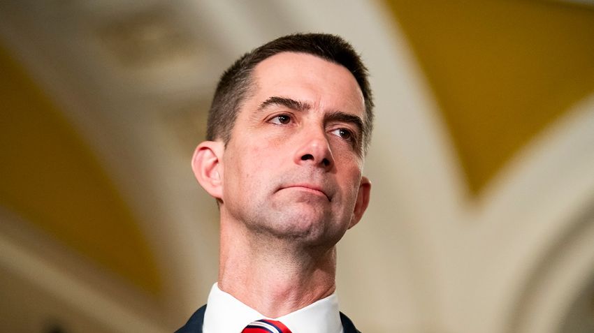  Cotton: Change to marijuana drug classification ‘a step in the wrong direction’ (Sarah Davis/The Hill)