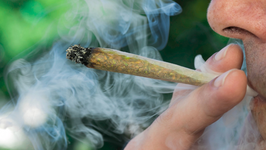  Poll: Most Americans Support “Making Marijuana Legal” Nationwide, Opinions Shaped by Personal Experience