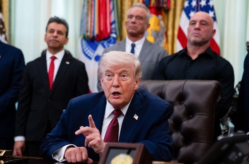  Trump’s Orders Elevate The Medical Status Of Psychedelics And Cannabis