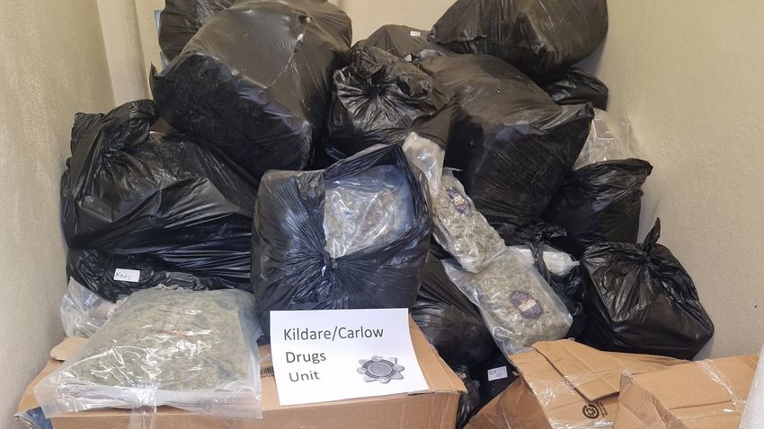  Four arrested after €7m of cannabis seized in Co Kildare