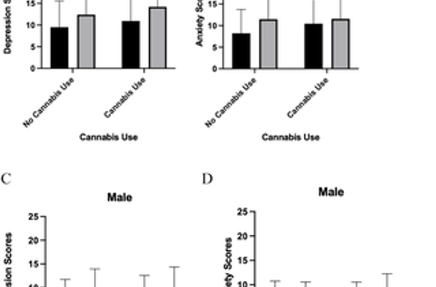  Differential associations of mental health, mild traumatic brain injury and substance use between male and female university students