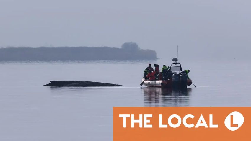  Today in Germany: A roundup of the latest news on Thursday